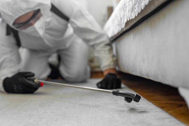 Professional Bed Bug Control technician working in Los Alamos, CA