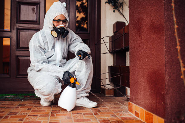 Reliable Bed Bug Control contractor in Los Alamos, CA by Nex Pest Control