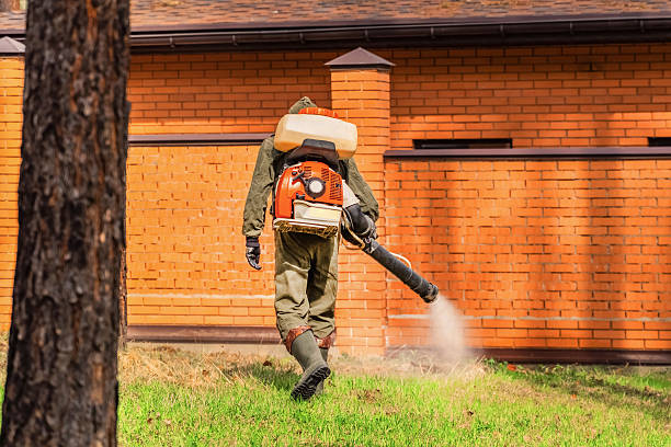 Trusted Mosquito Control service in Los Alamos, CA - Nex Pest Control